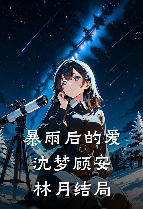 暴雨后的爱沈梦顾安林月结局