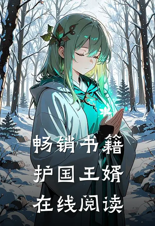 畅销书籍护国王婿在线阅读