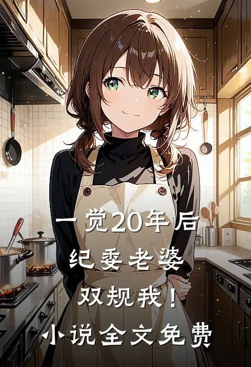 一觉20年后，纪委老婆双规我！小说全文免费