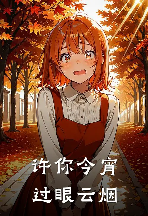 许你今宵过眼云烟