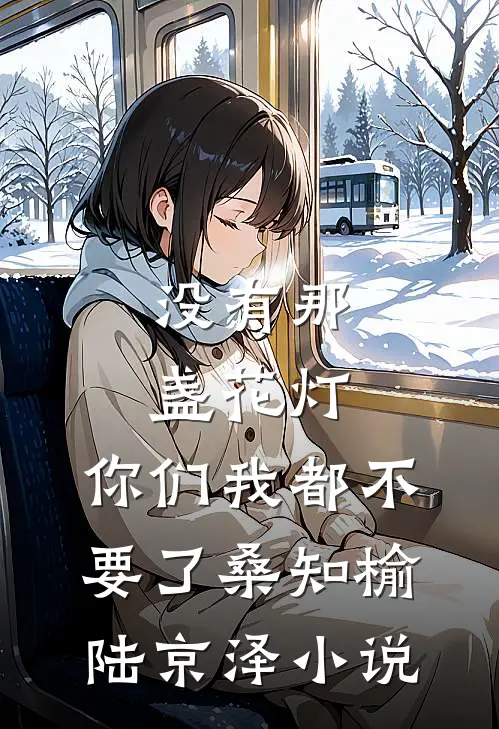 没有那盏花灯，你们我都不要了桑知榆陆京泽小说