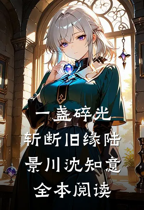 一盏碎光，斩断旧缘陆景川沈知意全本阅读