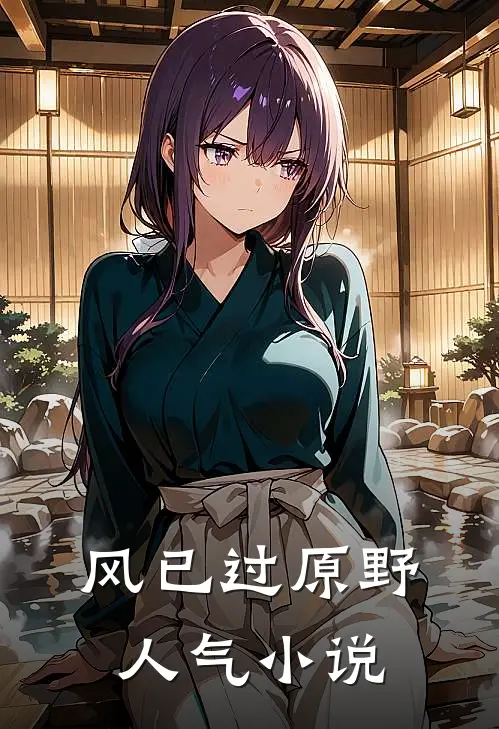 风已过原野人气小说