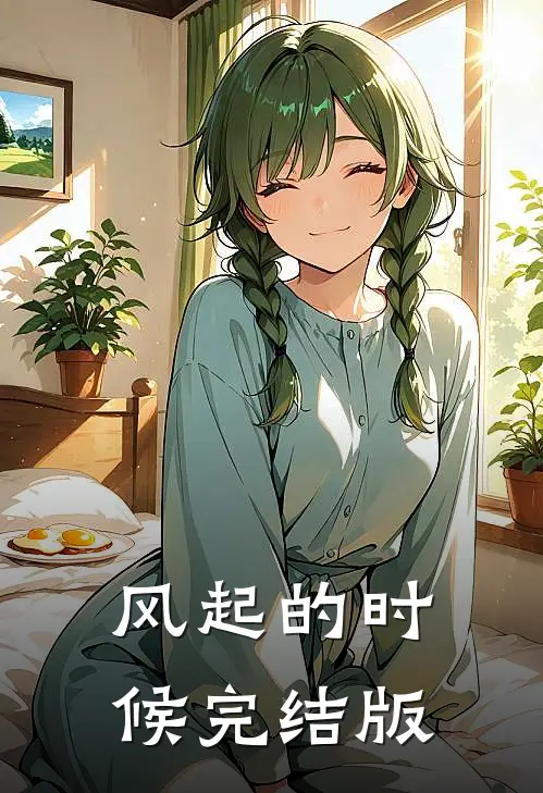 风起的时候完结版