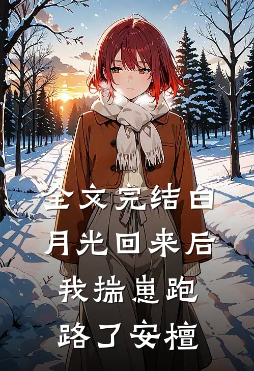 全文完结白月光回来后我揣崽跑路了安檀