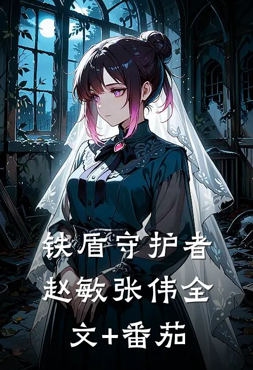 铁盾守护者赵敏张伟全文+番茄