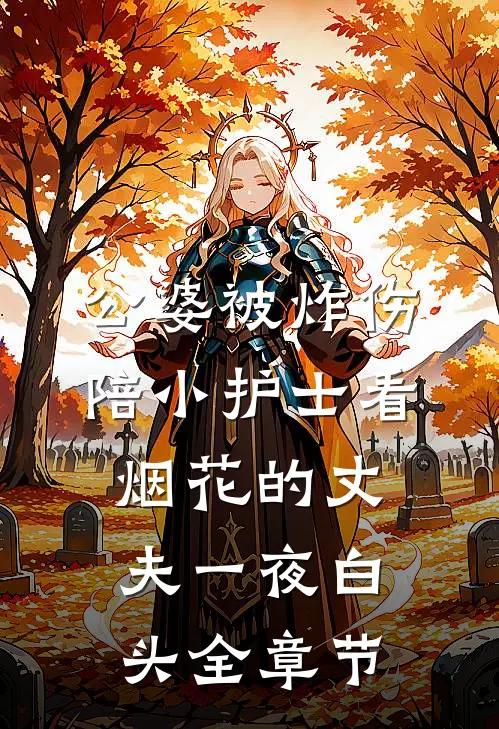公婆被炸伤，陪小护士看烟花的丈夫一夜白头全章节