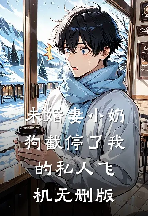未婚妻小奶狗截停了我的私人飞机无删版