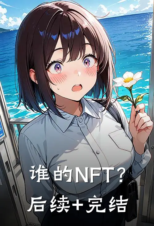 谁的NFT？后续+完结