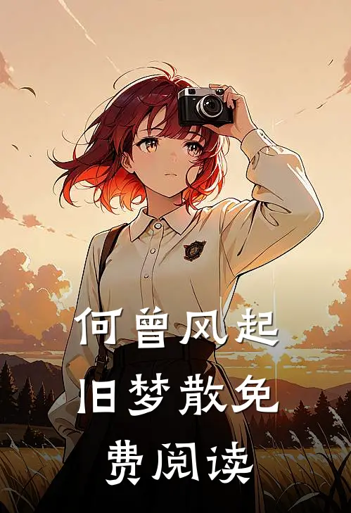 何曾风起旧梦散免费阅读