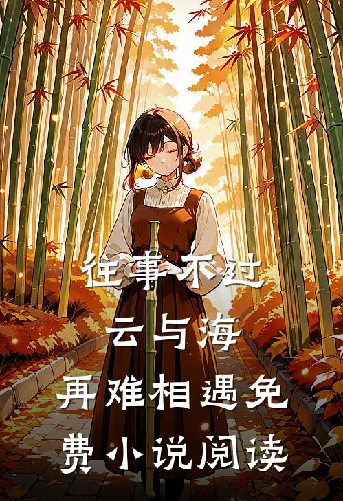 往事不过云与海，再难相遇免费小说阅读