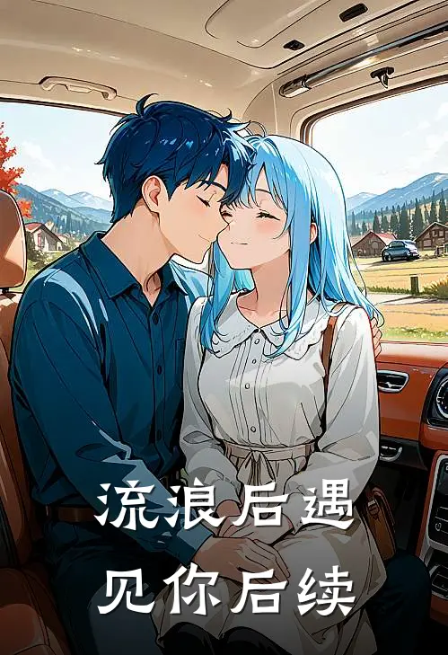 流浪后遇见你后续