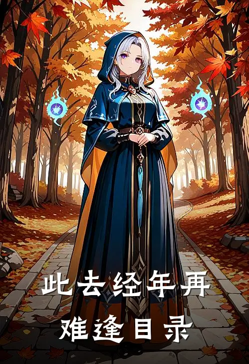 此去经年再难逢目录