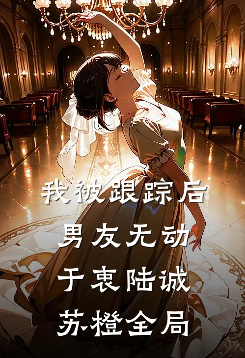 我被跟踪后，男友无动于衷陆诚苏橙全局