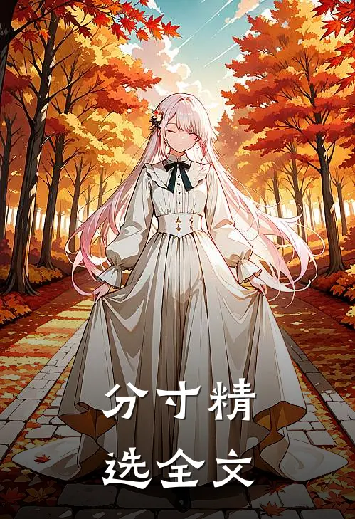 分寸精选全文