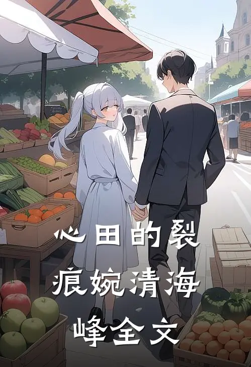 心田的裂痕婉清海峰全文