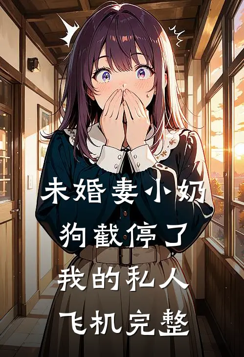 未婚妻小奶狗截停了我的私人飞机完整