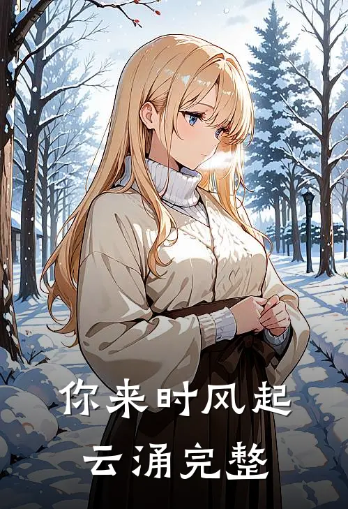 你来时风起云涌完整