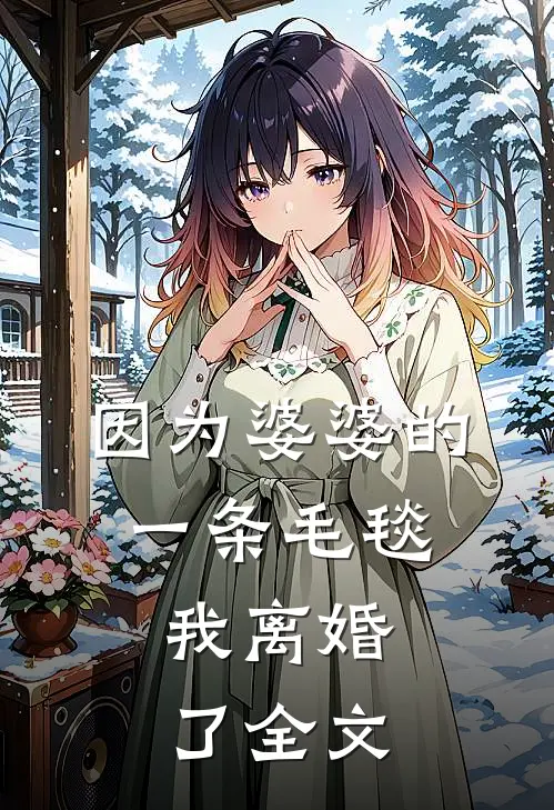 因为婆婆的一条毛毯，我离婚了全文