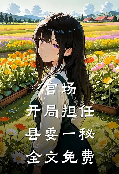 官场：开局担任县委一秘全文免费