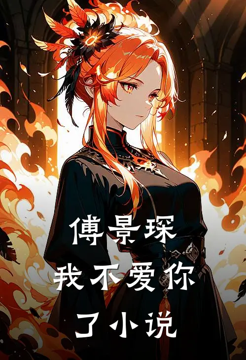 傅景琛，我不爱你了小说