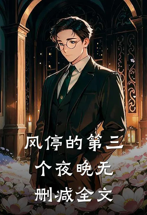 风停的第三个夜晚无删减全文