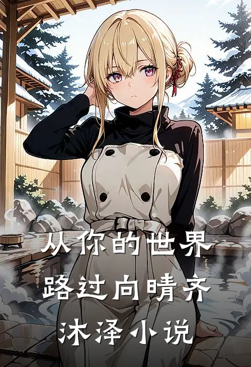 从你的世界路过向晴齐沐泽小说